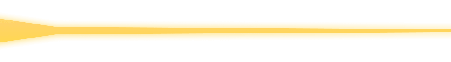 Section Divider